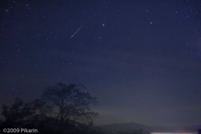 ORIONID METEORS 2009