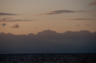 Morning scene(1)