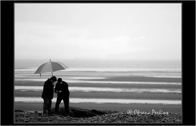 Beach 1, Birch Bay, Washington