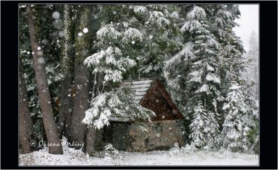 Cabin in the Snow, Oregon