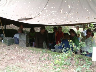 DSCF0749.JPG