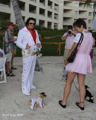 Pet Masquerade Parade, Fantasy Fest 9