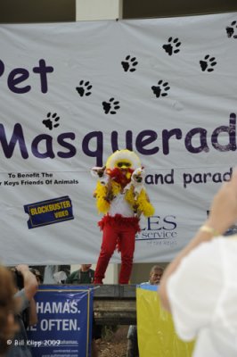 Pet Masquerade Parade, Fantasy Fest  3