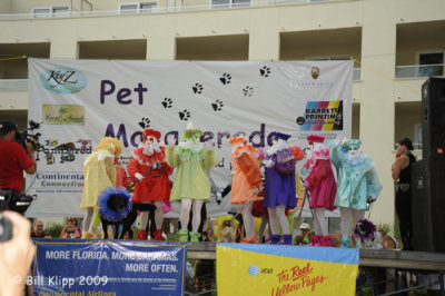 Pet Masquerade Parade, Fantasy Fest  1