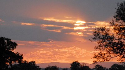 Sunset Scenics, Mfuwe 1