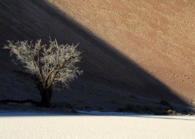 Namibia Little Kulala Hiddenvlei_0024a S.jpg