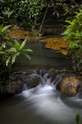 Limestone Creek