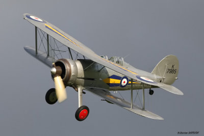sh16.jpg