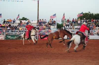 DSC_1618.JPG