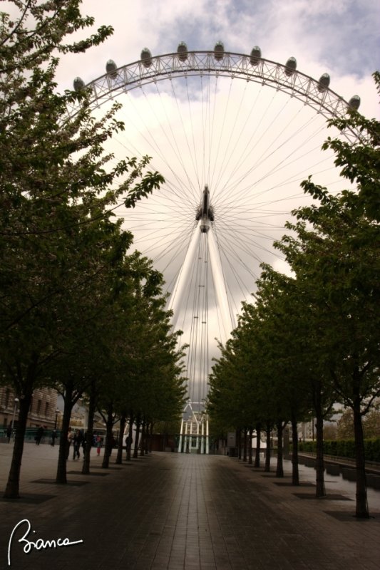 London Eye