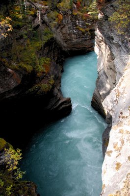 Jasper National Park:  Athabasca Falls