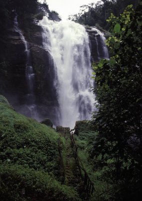 Doi Inthanon National Park:  Wachiratan Waterfall