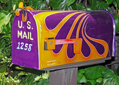 Painted _ Golden & Purple Custom Painted Mailbox