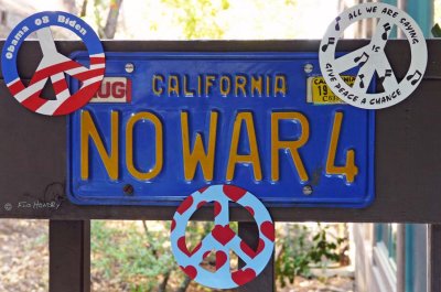 No War4  License Plate -  '08 version with Video