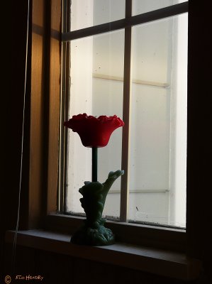 Window flower_0005 copy.jpg