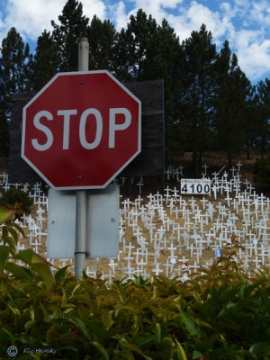 Crosses of Lafayette      War Memorial 7- 4-08        (video Buffy St. Marie)