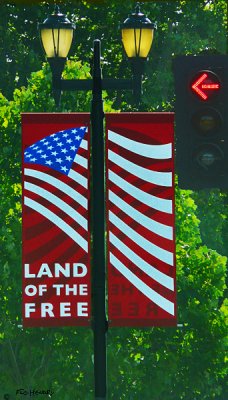 July 4, 2008  Banner       Turn Left to Freedom?