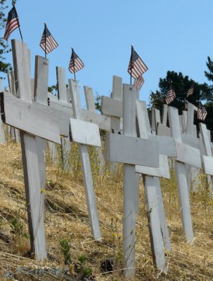 Flags in Rememberance