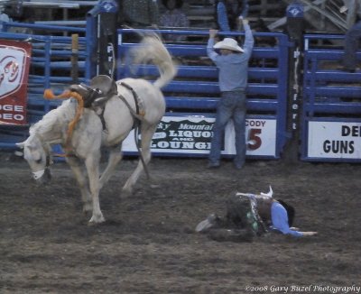 Cody Wyoming Rodeo 2008
