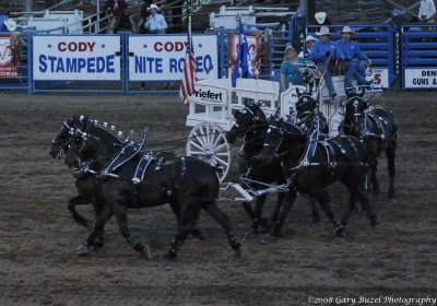 Cody Wyoming Rodeo 2008
