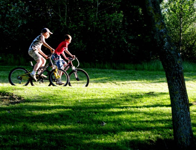 Pedal power