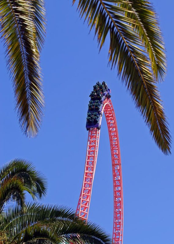 9th - Top of the Curve