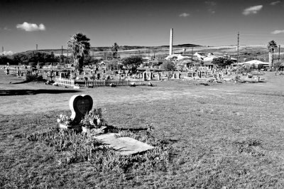 Sugar Plant Graveyard