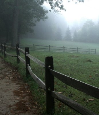 Fence in Fog*
