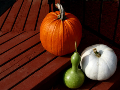 Gourds