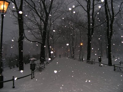 3rd  Snowy Walk*by A.Jarosz