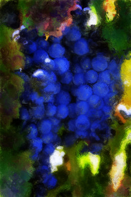 5299-grapes paint-sm.jpg