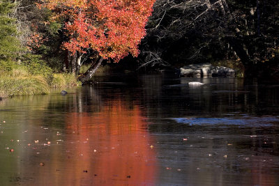 West Branch River