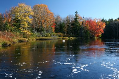 West Branch River