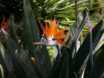 EPV0039.jpg