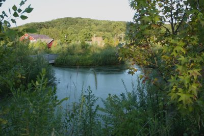 Pond, Whitney Water Purification Park