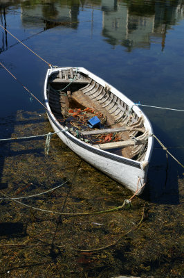 PICT0005.JPG