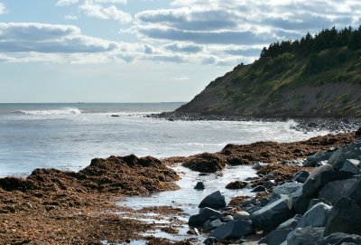 Lawrencetown Beach N.S. Sept 14/09.jpg