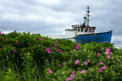 Sea of Flowers 09.jpg