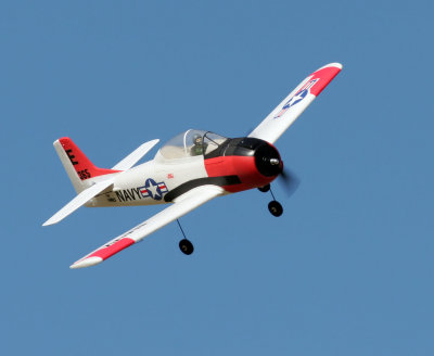 Parkzone T-28 and is my third R/C airplane and it's an easy flyer.