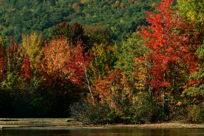 Lake George