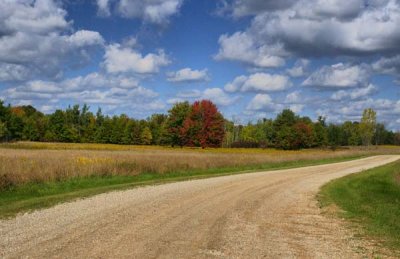 Signs of Autumn