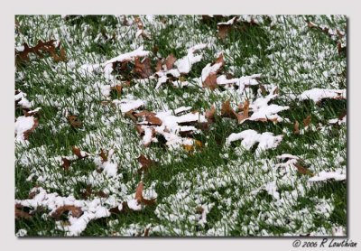 PB-IMG_2767.jpg