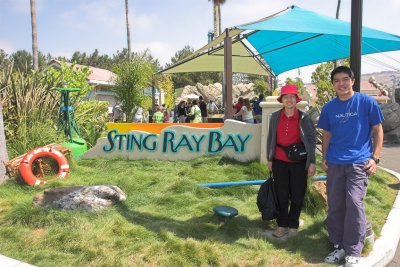 Sting Ray Bay