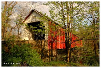 May  Along Sheard's Mill Covered Bridge #1