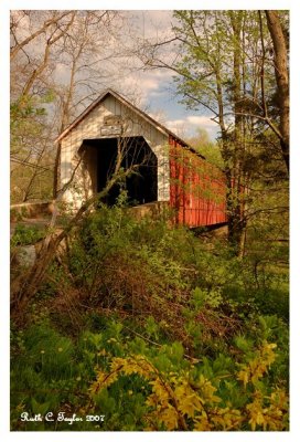 May  Along Sheard's Mill Covered Bridge #2