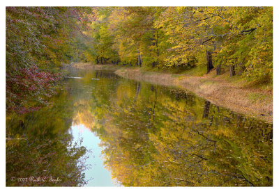 Magic of Autumn Along the Canal<br/> 