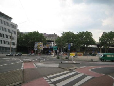 IMG_1564.jpg