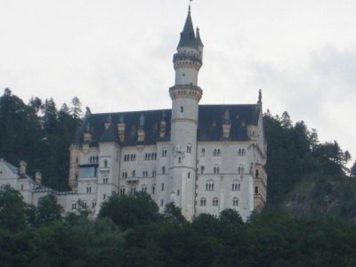 IMG_2132.jpg