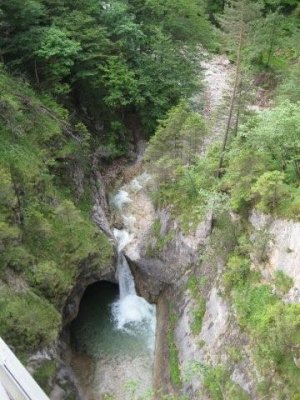 IMG_2159.jpg
