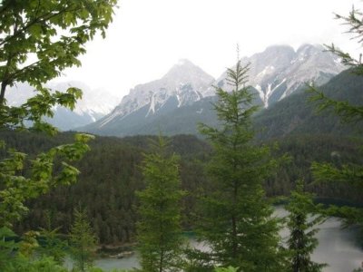 IMG_2223.jpg
